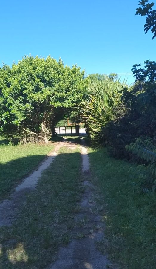 Terreno - Venda - Praia do Rosa - Imbituba - SC