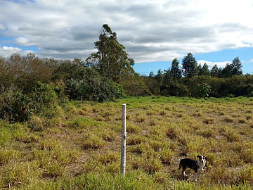 Terreno � Venda